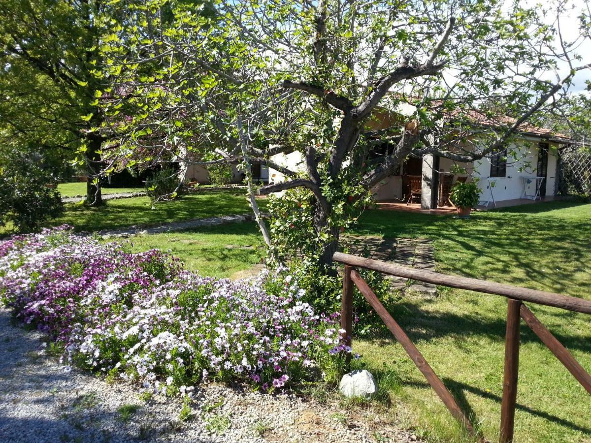 Agriturismo Sicomoro Villa Capalbio Dış mekan fotoğraf