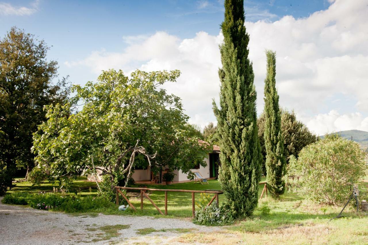 Agriturismo Sicomoro Villa Capalbio Dış mekan fotoğraf
